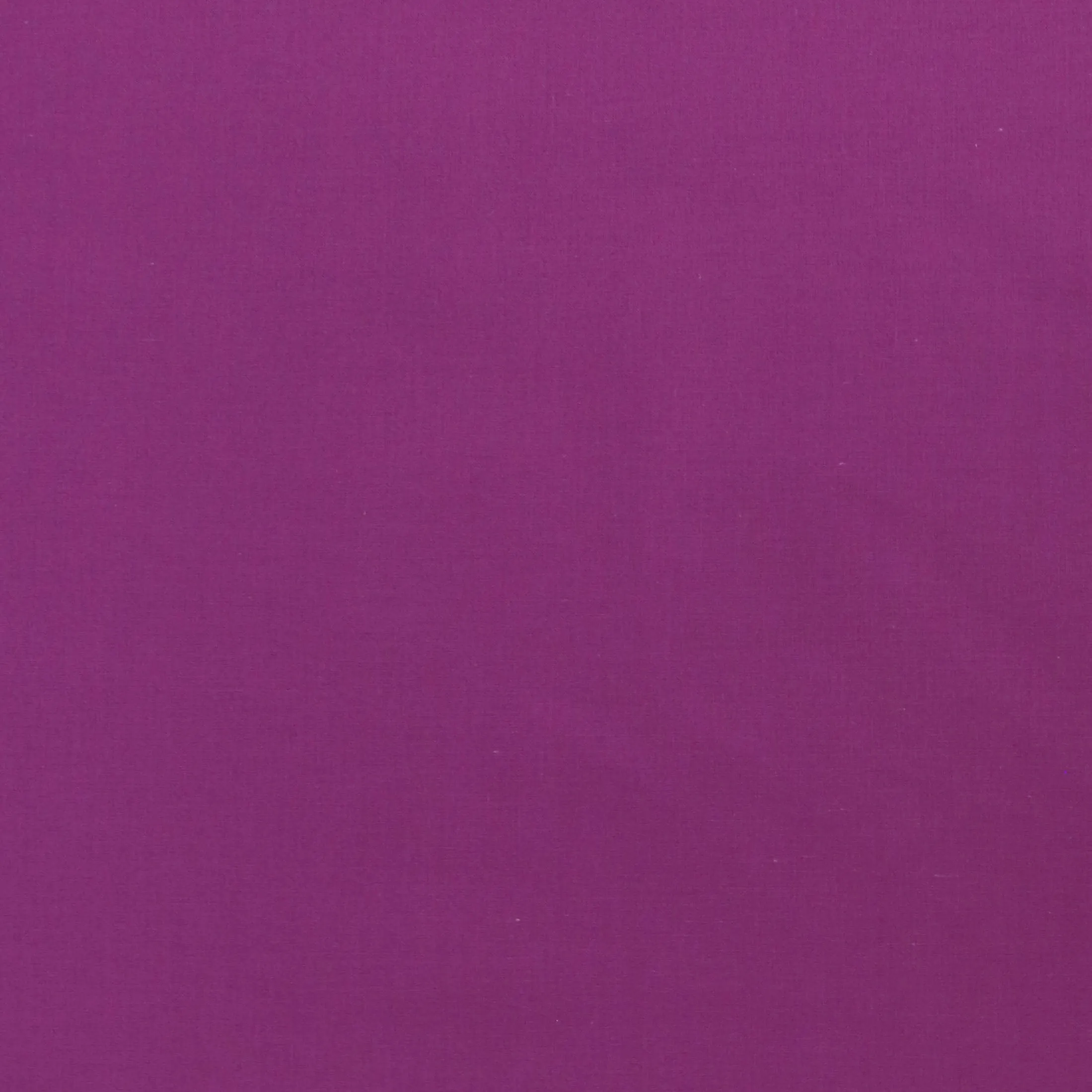 Cotton Voile - Purple